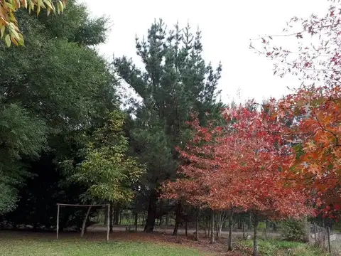 Campo en venta - 99.934Mts2 - General Pueyrredón