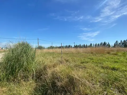 VENTA LOTE MORADAS MAXIMO PAZ 324 METROS