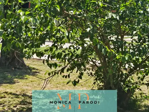 Beato Escrivá de Balaguer  Avenida Coronel Ramón Falcón