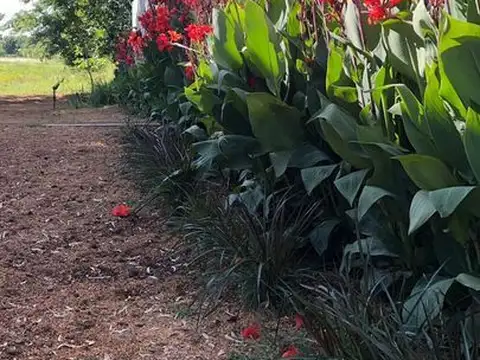Campo en Venta de 5  ha