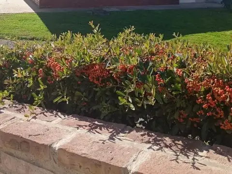 Departamento en Venta 3 dormitorios - Neuquén