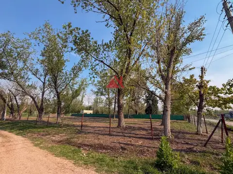 Terreno en Venta de 2275,0 m2
