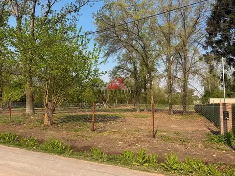 Los Pinos