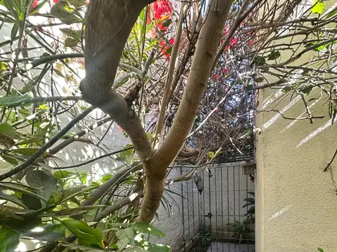 Casa en Venta 45 años