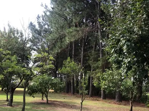 Terreno en Venta en Parque Exaltacion, USD 38.000