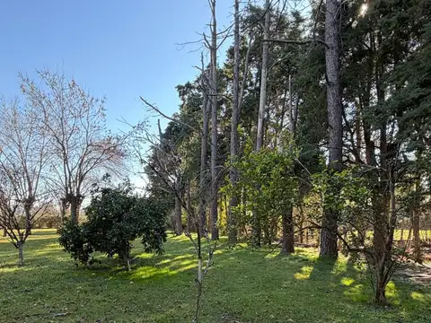 Terreno en Venta de 1090,0 m2