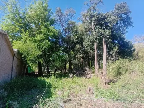 Venta terreno en la granja 420 mts2