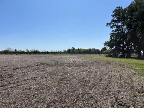 CAMPO AGRICOLA EN VENTA EN BARADERO
