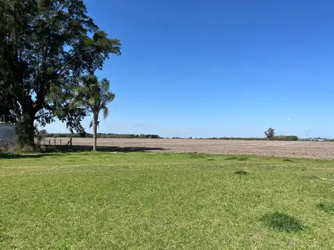 CAMPO AGRICOLA EN VENTA EN BARADERO