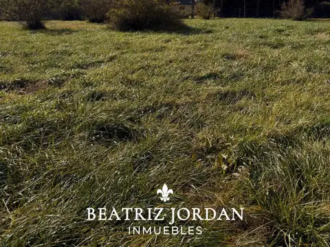 Terreno en Venta en Las Lomadas, USD 80.000