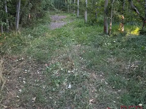 Terreno en Venta de 10925,0 m2