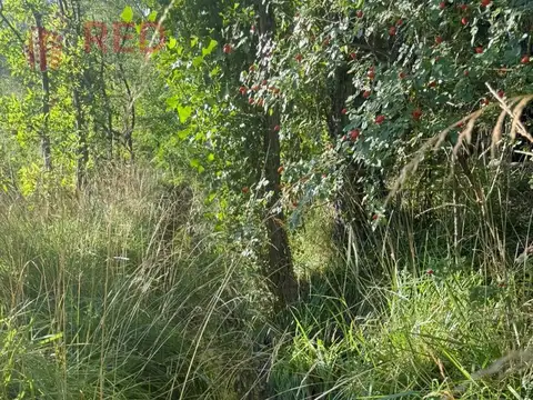 Terreno en Vista Alegre Sur
