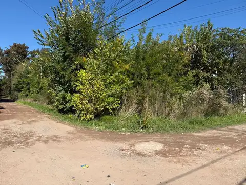 Terreno en Venta de 305,0 m2