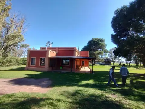 Campo con tambo en Venta - Tornquist, B.A 786 ha. a tranquera cerrada.