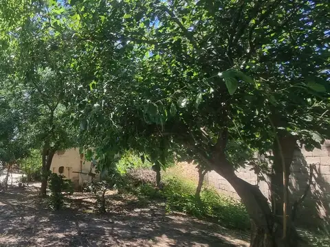 Pasaje Vélez Sarsfield 1400