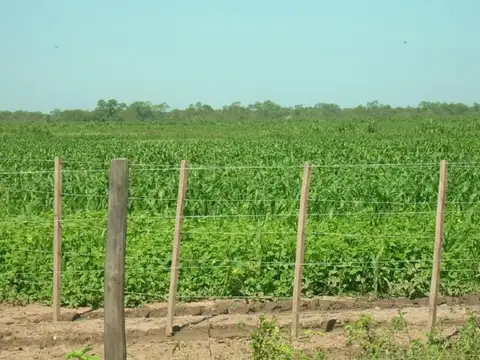 VENTA DE CAMPO MIXTO 6.000 HECTÁREAS Santiago del Estero