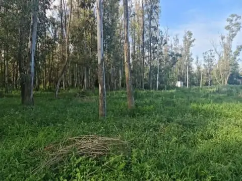 Santa Fe 1000
