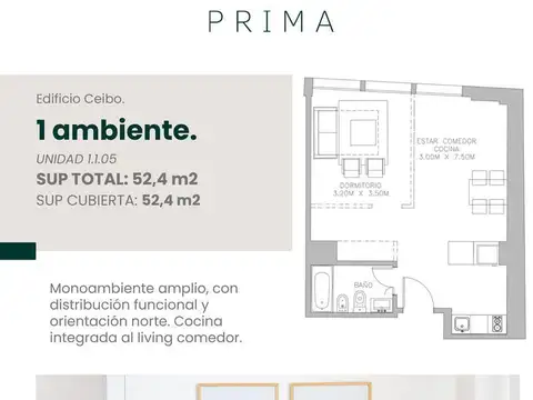 Departamento - Caballito