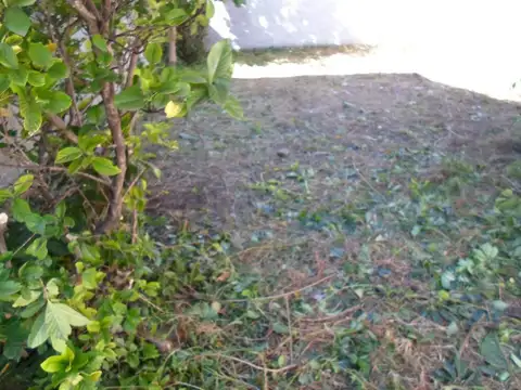 Terreno en Venta de 226,0 m2