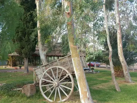 Carril Los Álamos 300