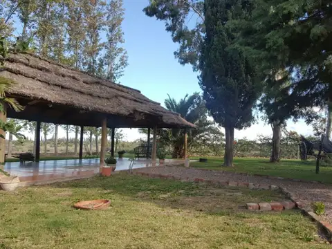 QUINTA 1 HECT QUINTA CON OLIVOS, BELTRÁN, MAIPÚ.