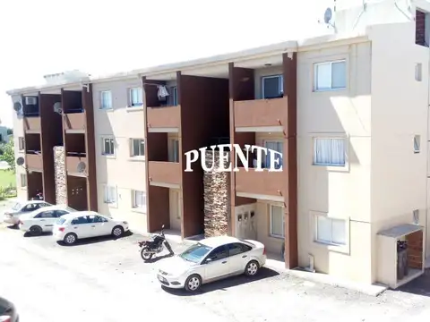Casuarinas Premiun Venta