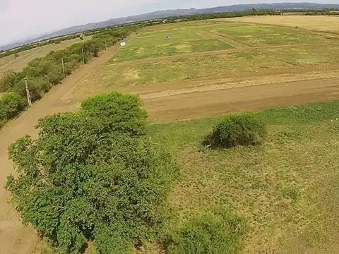 VENTA LOTE EN JUAREZ CELMAN 251 m2