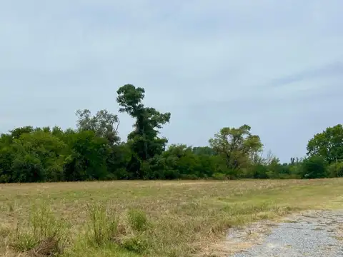 Fincas de Boote, Loma Verde