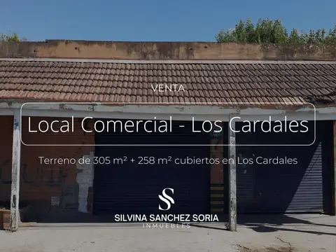 LOCAL COMERCIAL DE 305 M2 EN LOS CARDALES 