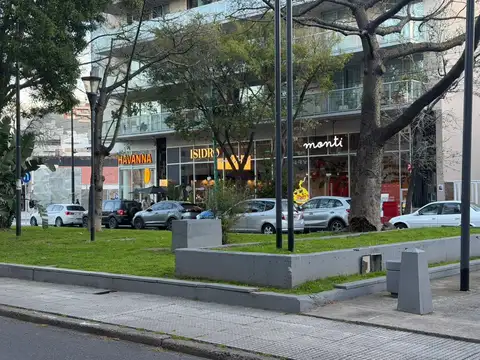 Local en Alquiler A Estrenar
