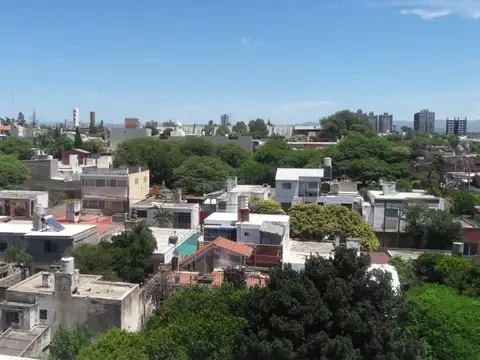 Domingo Zipoli 300
