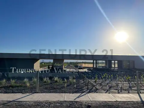 Terreno en Venta en Tupungato, USD 34.000