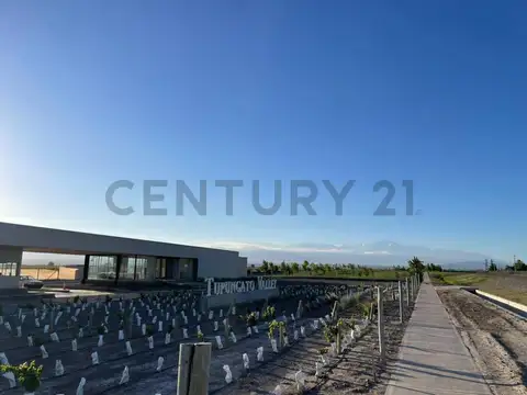 Lote en Venta en Tupungato