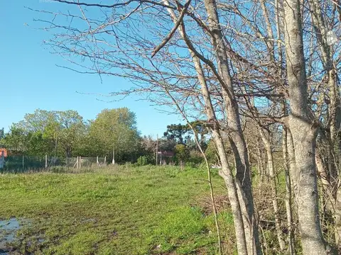Terreno en Venta en Lisandro Olmos Etcheverry, USD 21.000