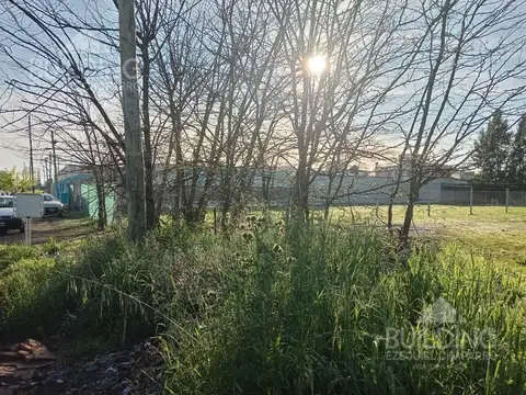 Terreno en Lisandro Olmos Etcheverry todos los servicios Escriturado