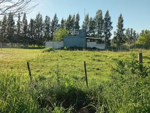 47 e /200 Y 201  Olmos