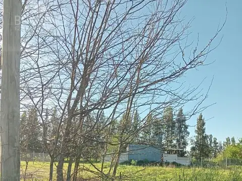 Terreno en Venta de 200,0 m2