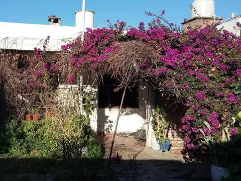 Suarez Francisco 2961