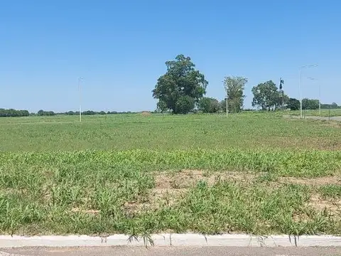 Rivadavia, Leopoldo Marechal Y, S2128 Arroyo Seco, Santa Fe 2100