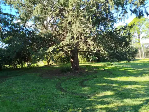C.C. Los Cardales Lote en esquina amplio y cerca de la entrada c/ Proyecto aprobado