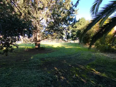 Terreno en Venta de 831,0 m2