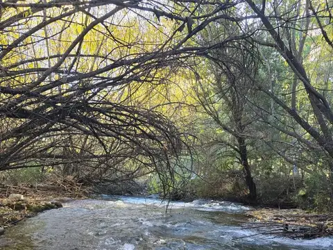 Ruta Nacional 40  al 1900