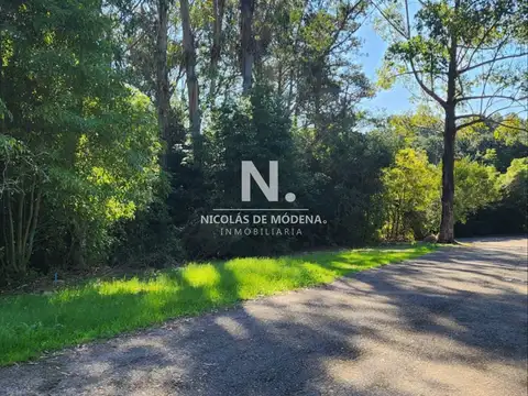 Vende terreno amplio de 4226 m2, en Las Cumbres- Punta Ballena.