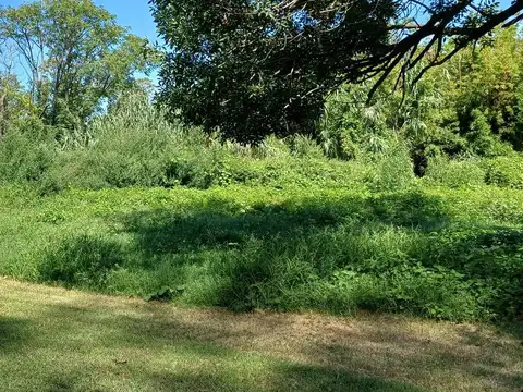 Venta | Gran terreno | 7922 m² | Timbues | Sobre RN11