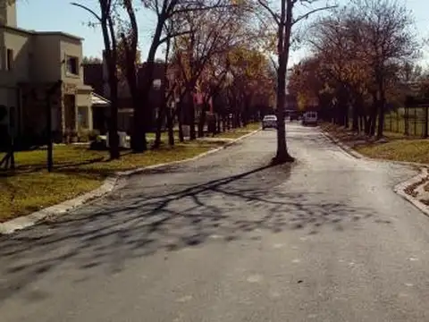 Soler N°495 e/ Pino y Serrano