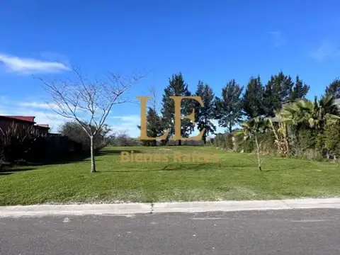 San Matias 100