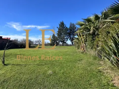San Matias 100