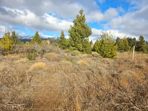 Terreno en Venta 12  mts Frente