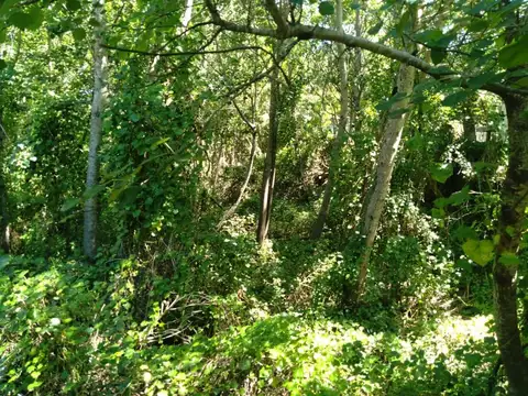 Terreno en Venta de 275,0 m2