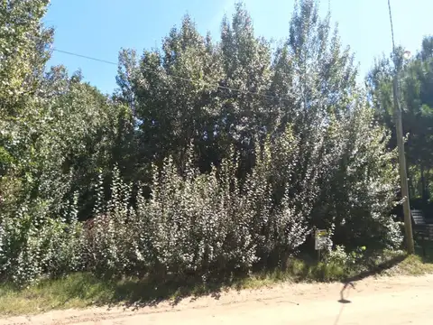 Terreno en Venta en Pueblo San Jose, USD 37.000